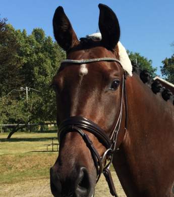 Image: 2015-09/image1-red-.jpg