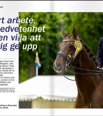 Image: 2016-08/cheval-media-lina-andersson.jpg