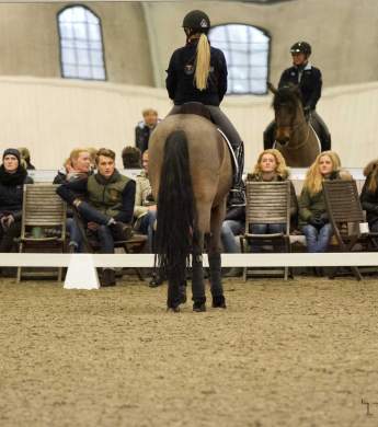 Image: 2017-01/6738-catharinabrink-1vt.jpg