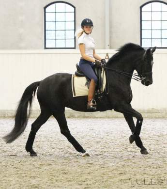 Image: 2017-04/img-8482-kopia-1vt.jpg
