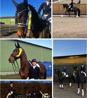 Image: 2025-03/-storp-mars-25.jpg