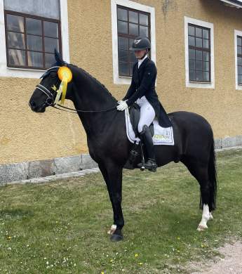 Image: 2025-05/img-3575.jpeg