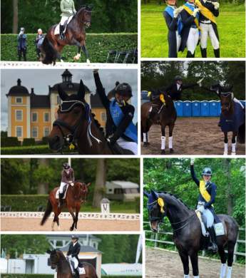 Image: 2025-06/sm-25.jpg