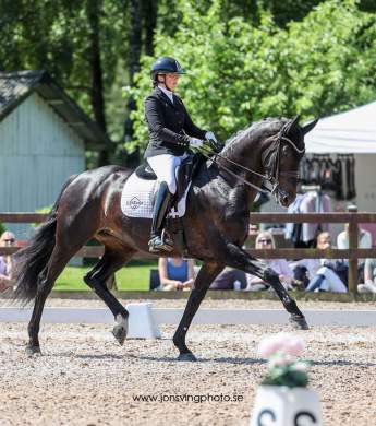 Image: 2025-06/unknown-101.jpeg