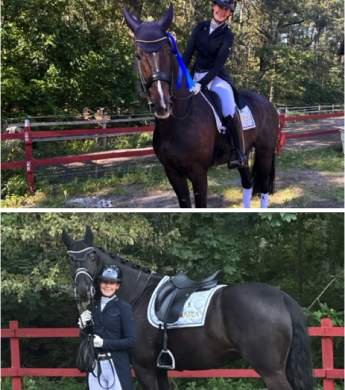 Image: 2025-09/djursholm-25.jpg