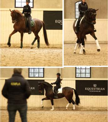 Image: 2025-11/kk-nov-25.jpg