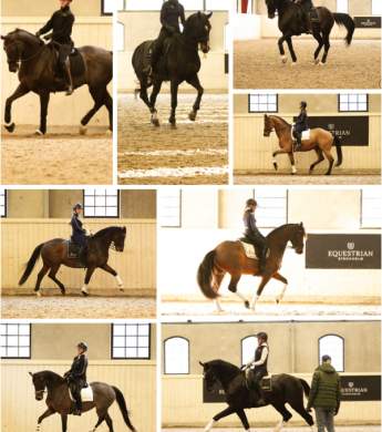 Image: 2025-11/pl-nov-25.jpg