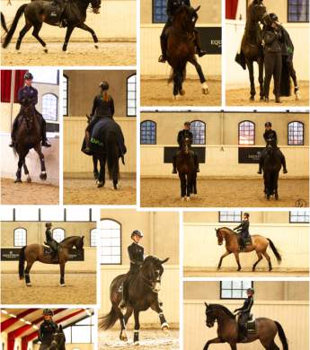 Image: 2025-12/pl-dec-25.jpg